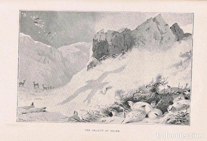 Libros: THE GROUSE. NATURAL HISTORY. - Macpherson. Rev. H. A. - Foto 2