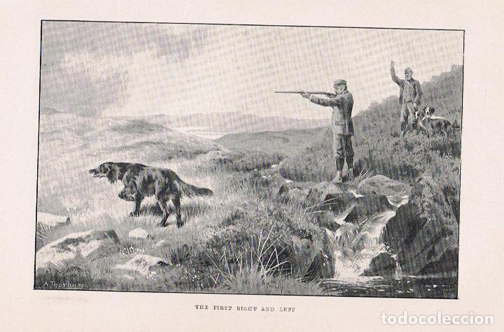Libros: THE GROUSE. NATURAL HISTORY. - Macpherson. Rev. H. A. - Foto 5