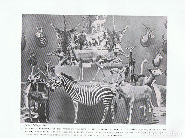 Libros: IN WILDEST AFRICA. - Schillings. C. G. - Foto 2