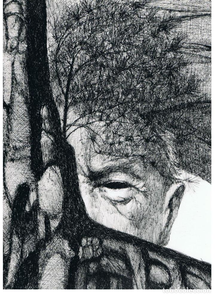 Libros: CORONA PO&Eacute;TICA EN HONOR DE ANTONIO MACHADO - AA.VV - Foto 2