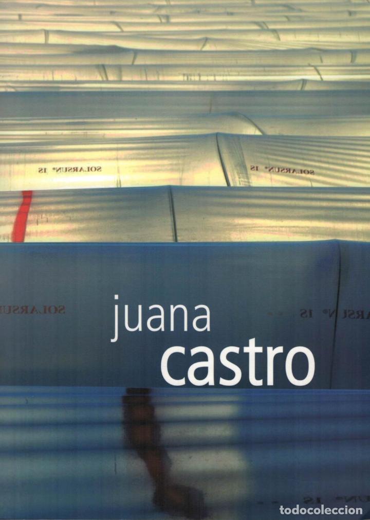 Libros: DEDICADO A JUANA CASTRO - Ciclo Diversos, N&ordm; 29 - Foto 1