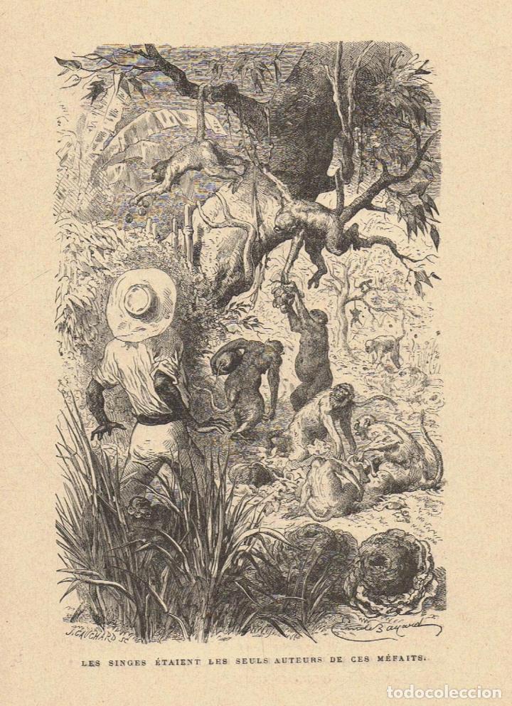 Libros: LE ROBINSON SUISSE - Wyss.  J.-R - Foto 2