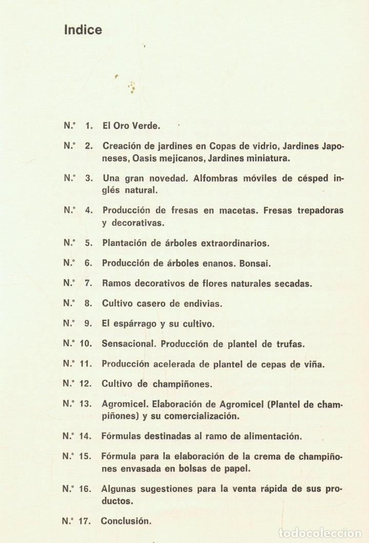 Libros: ORO VERDE. - Albas, Antonio Jos&eacute;. - Foto 2
