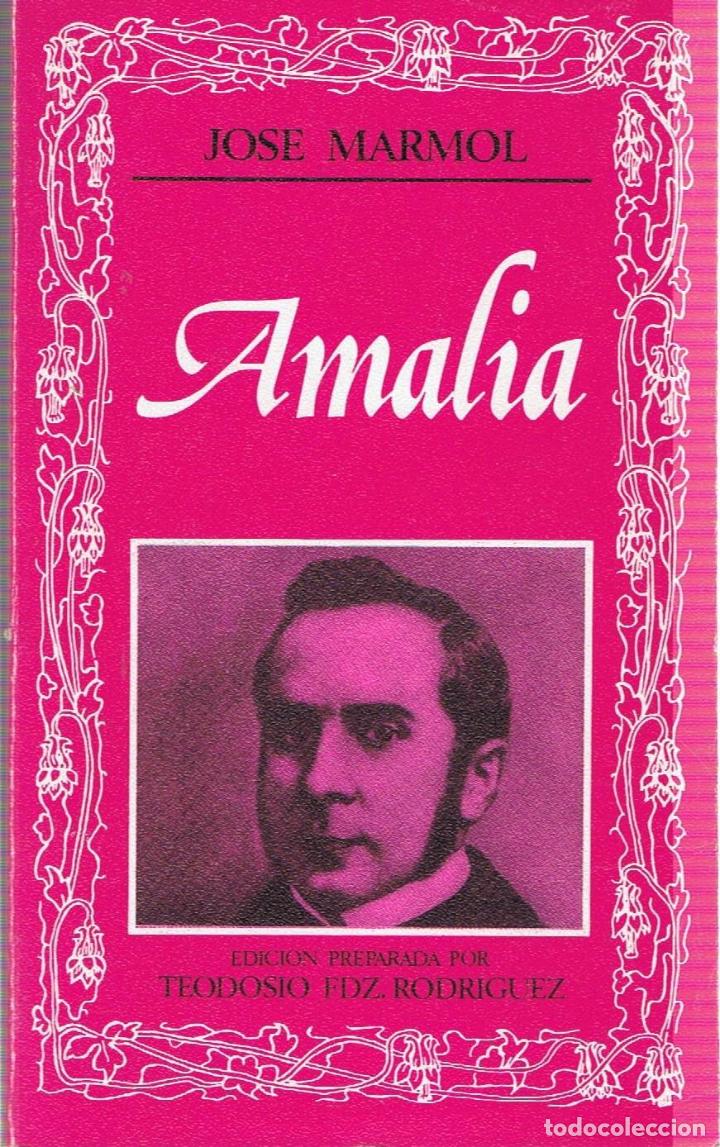 Libros: AMALIA - Marmol.  Jos&eacute; - Foto 1