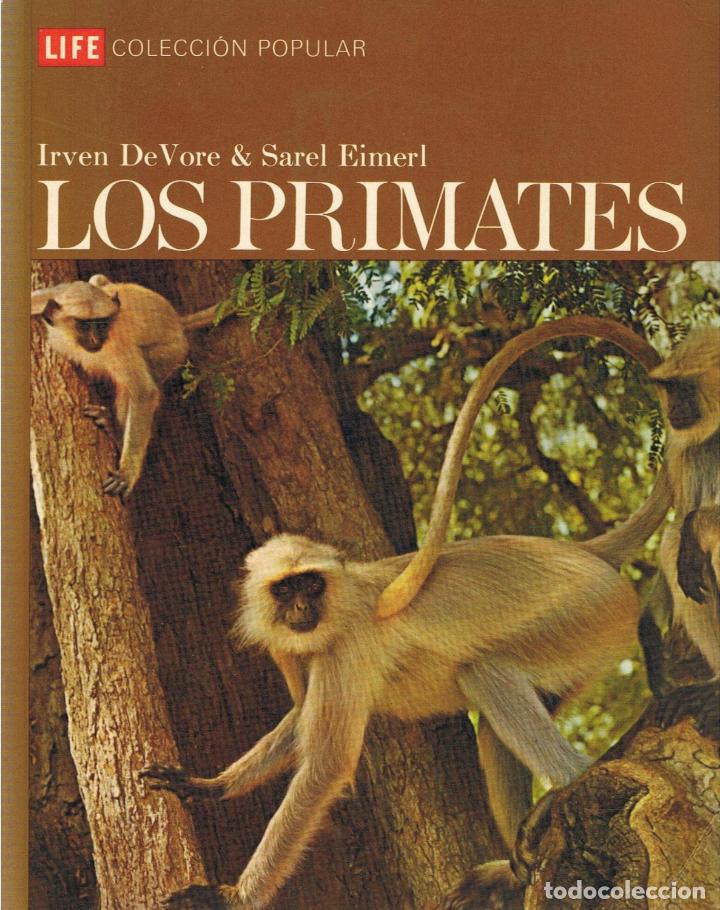 Libros: LOS PRIMATES - De Vore.  Irven, / Sarel Eimerl. - Foto 1
