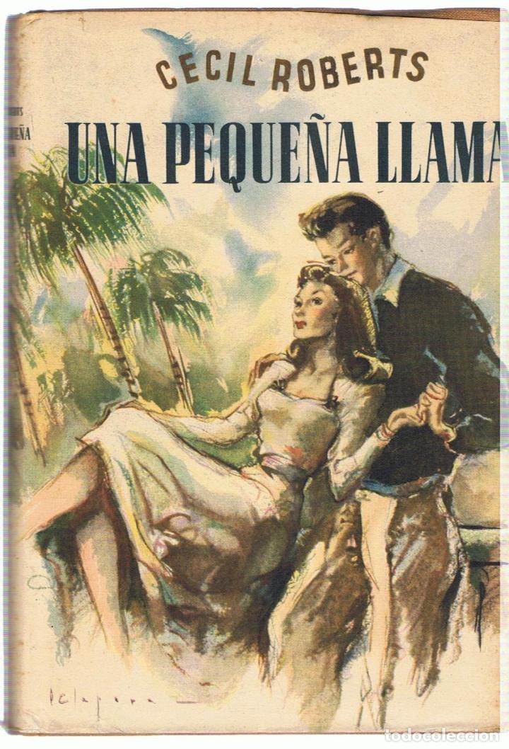 Libros: UNA PEQUE&Ntilde;A LLAMA - Robert.  Cecil - Foto 1