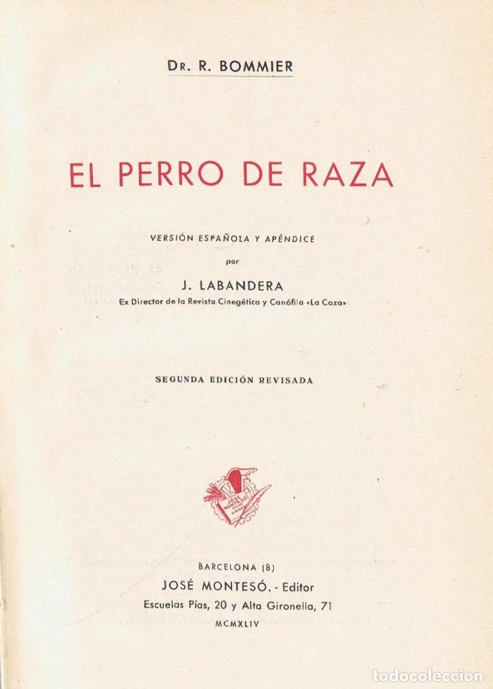 Libros: EL PERRO DE RAZA - Bommier.  Dr. R - Foto 1