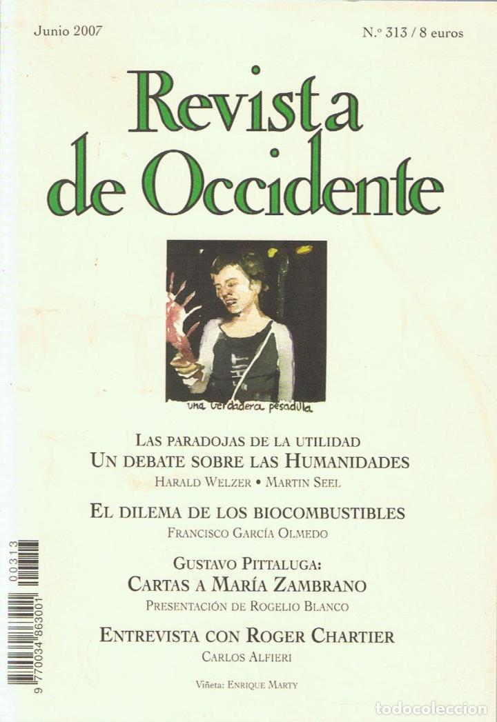 Libros: REVISTA DE OCCIDENTE. N&ordm; 313. Junio 2007 - Revista - Foto 1