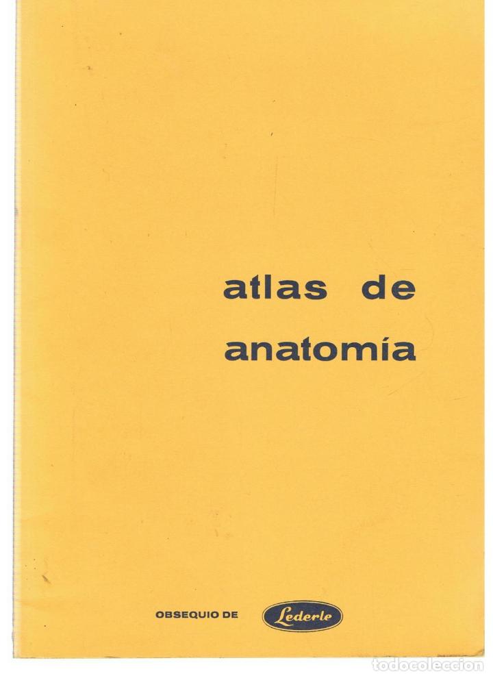 Libros: ATLAS DE ANATOM&Iacute;A - Lederle. - Foto 1