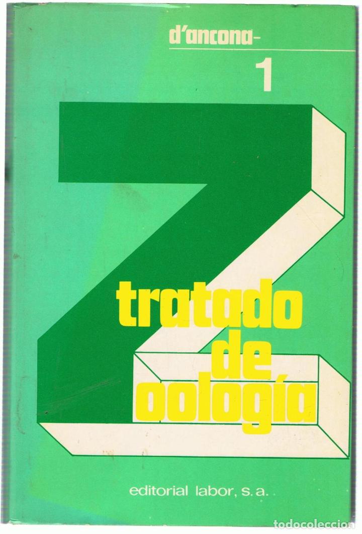 Libros: TRATADO DE ZOOLOG&Iacute;A. 2 Tomos - D&rsquo;Ancona.  Humberto - Foto 1