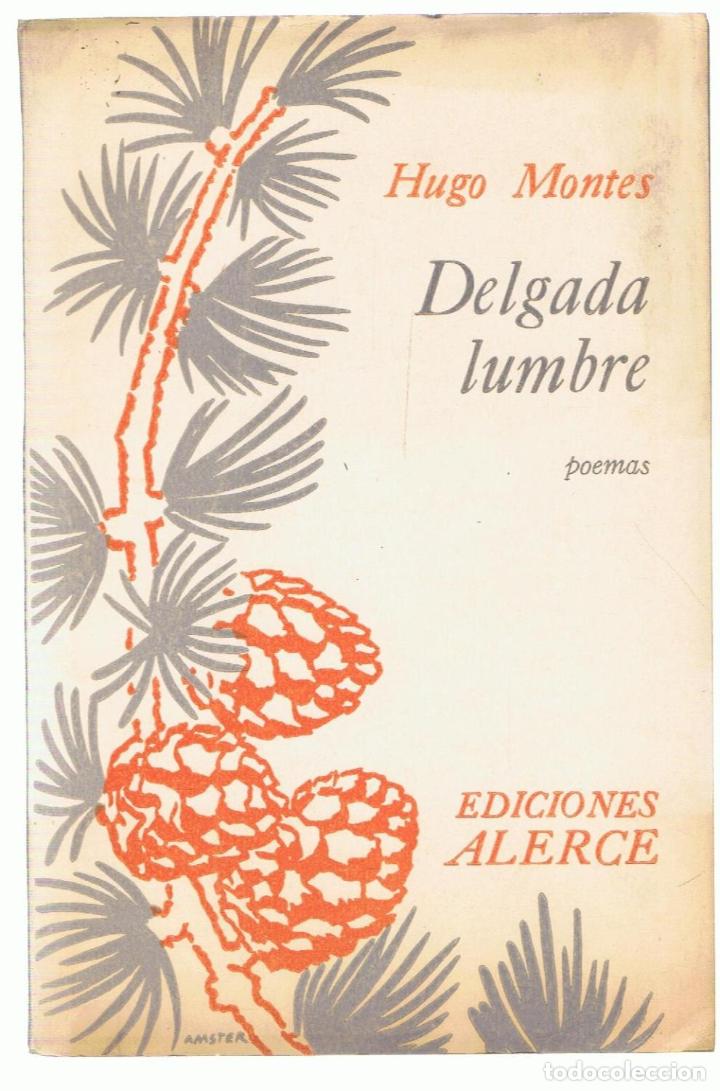Libros: DELGADA LUMBRE. Poemas - Montes.  Hugo - Foto 1
