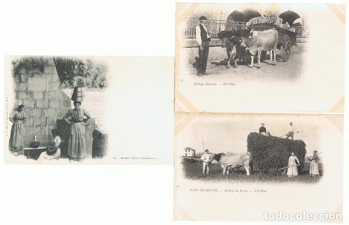 Libros: CONJUNTO DE 7 POSTALES DE BEARNAIS (Francia) - Tarjetas Postales. - Foto 2