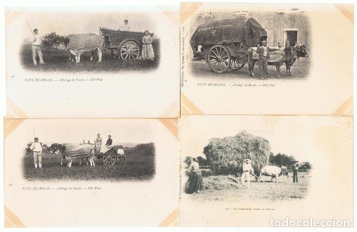 Libros: CONJUNTO DE 7 POSTALES DE BEARNAIS (Francia) - Tarjetas Postales. - Foto 1