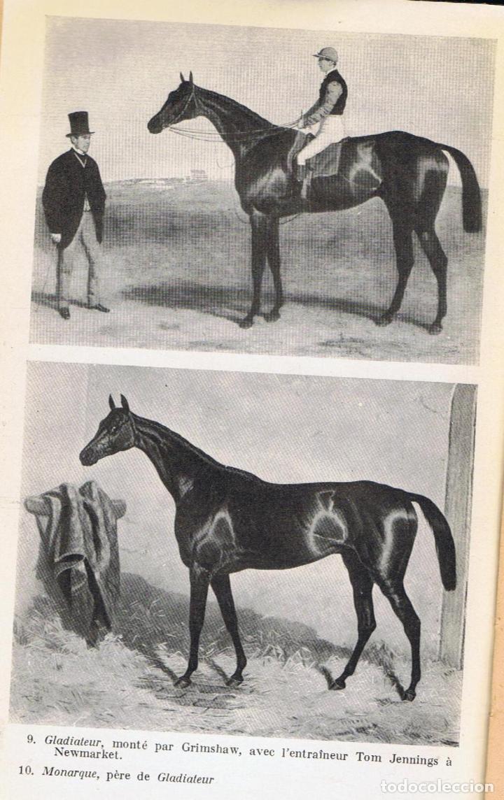 Libros: HISTOIRE ET SECRETS DU TURF. - Th&eacute;tard.  Henry, - Foto 3