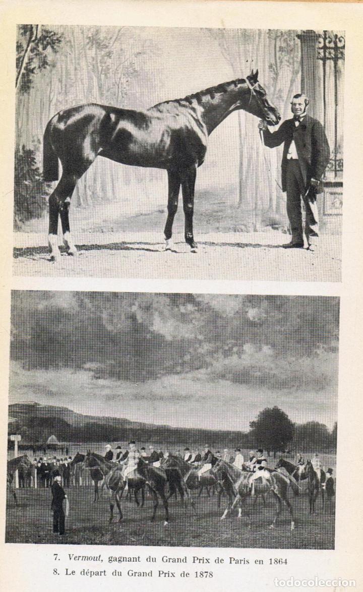 Libros: HISTOIRE ET SECRETS DU TURF. - Th&eacute;tard.  Henry, - Foto 4