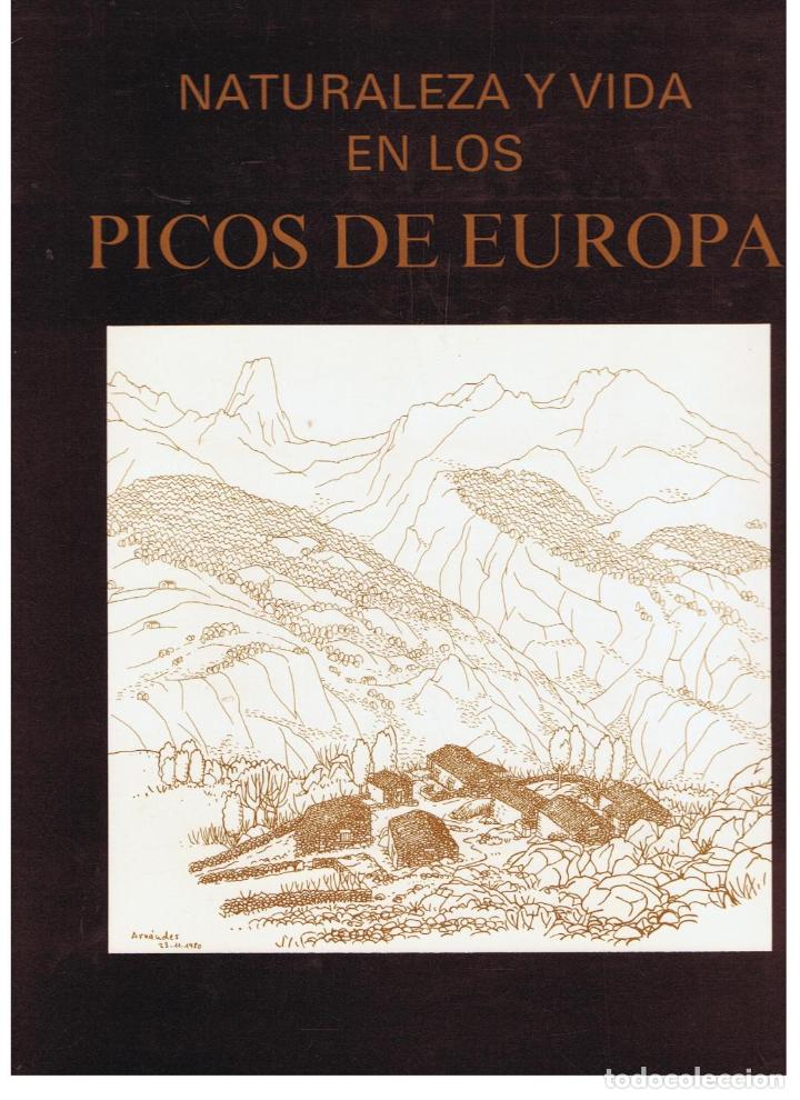 Libros: NATURALEZA Y VIDA EN LOS PICOS DE EUROPA - Foto 1