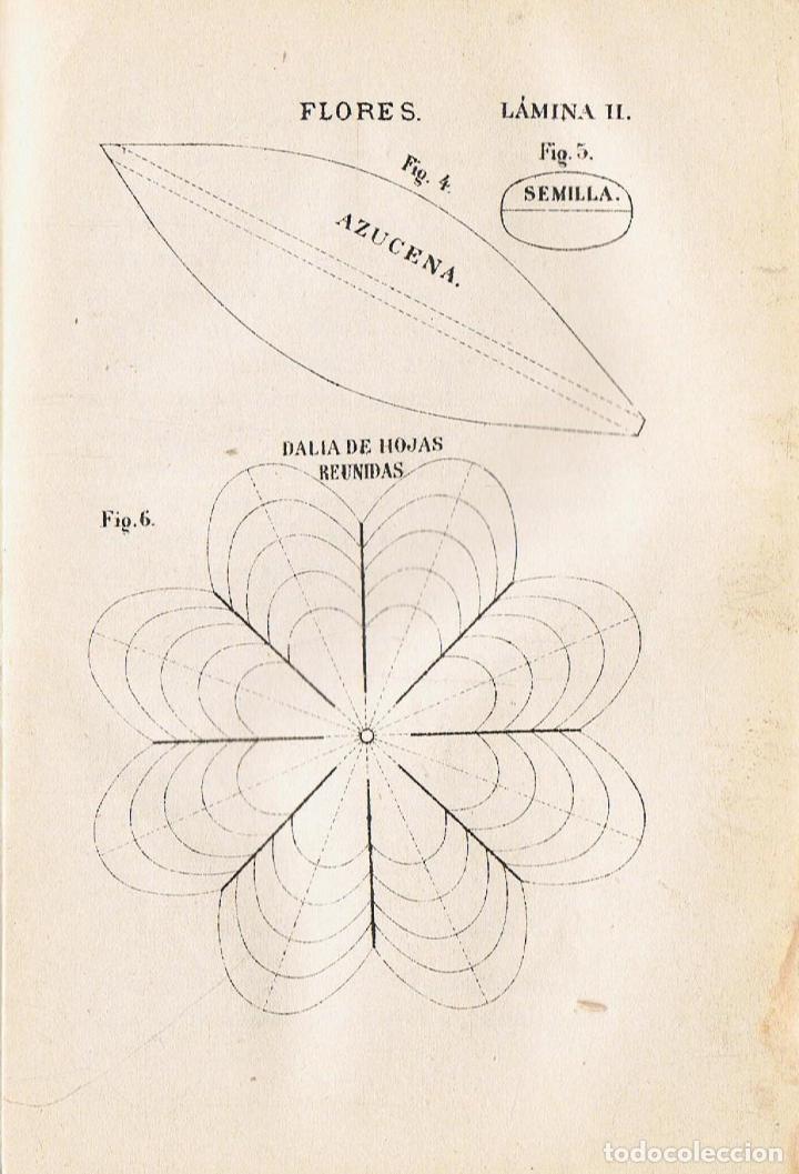 Libros: M&Eacute;TODO PR&Aacute;CTICO DE LABORES - Foto 5