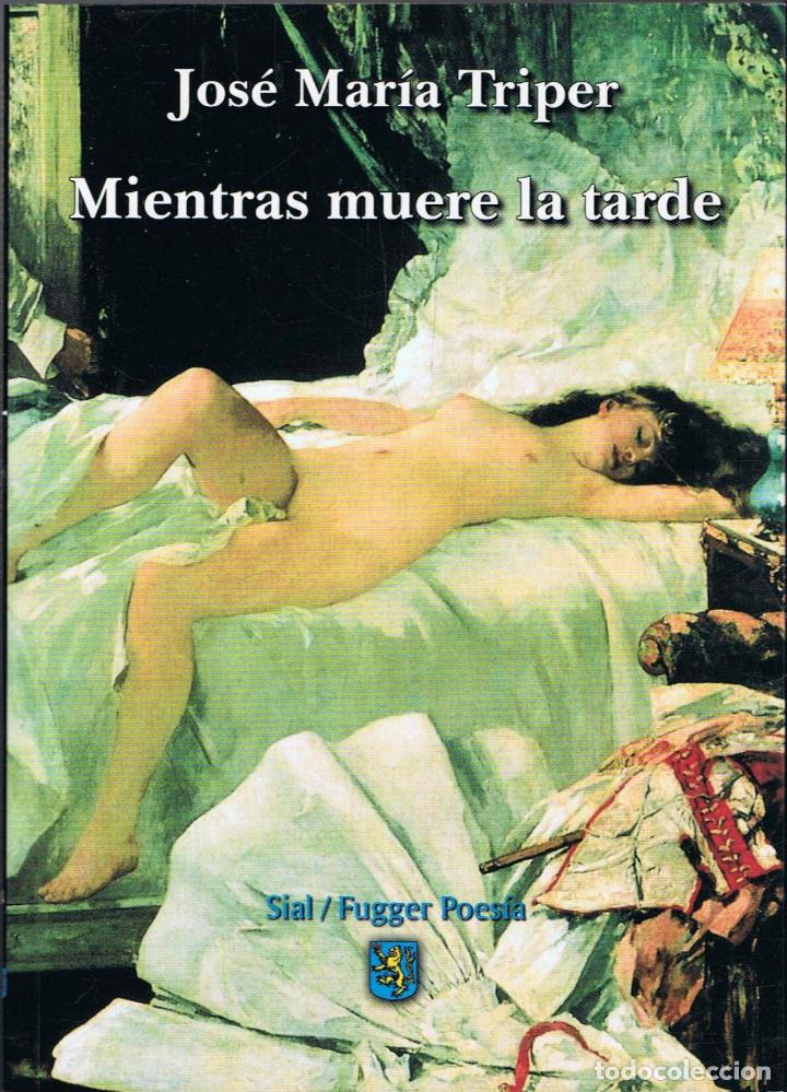 Libros: MIENTRAS MUERE LA TARDE (poes&iacute;a). - Foto 1