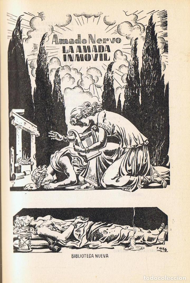 Libros: LA AMADA INMOVIL. Poes&iacute;a - Foto 1