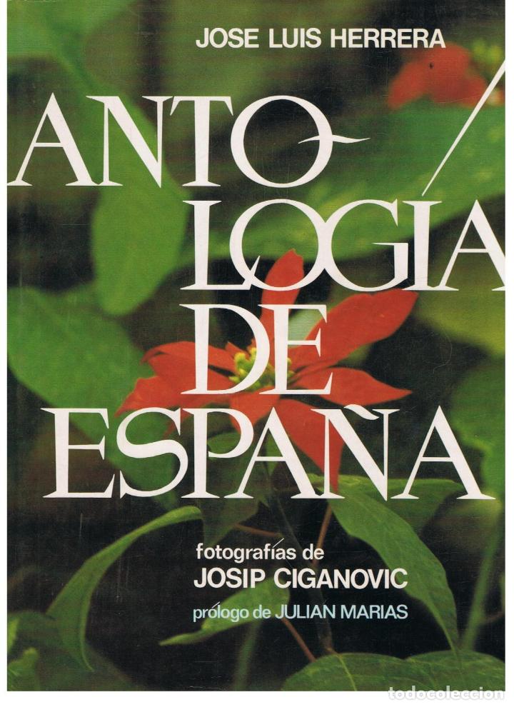 Libros: ANTOLOG&Iacute;A DE ESPA&Ntilde;A - Foto 1