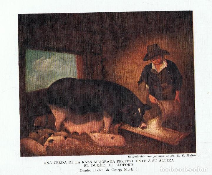 Libros: LA AGRICULTURA INGLESA - Foto 3