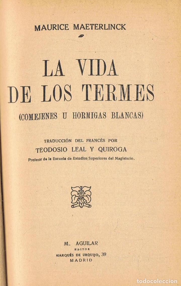 Libros: LA VIDA DE LOS TERMES (Comejenes u hormigas blancas). - Foto 1