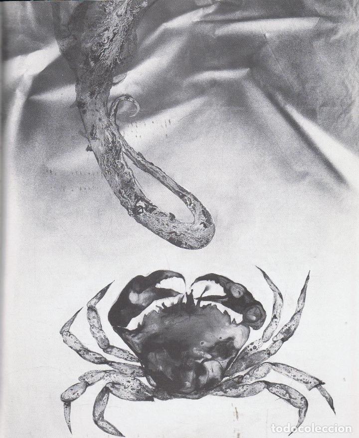 Libros: LUIS MORO. METAMORFOSIS - Foto 2