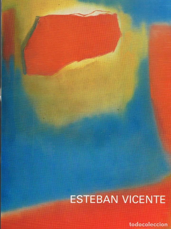 Libros: ESTEBAN VICENTE - Foto 1