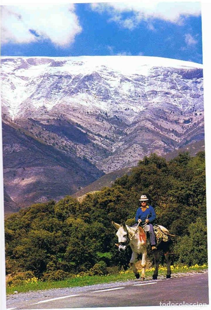 Libros: AXARQU&Iacute;A. - Carneros S&aacute;ez / Fajardo Mart&iacute;nez. - Foto 3