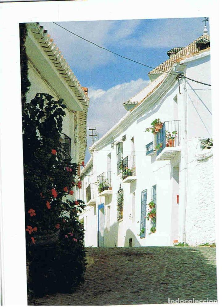 Libros: AXARQU&Iacute;A. - Carneros S&aacute;ez / Fajardo Mart&iacute;nez. - Foto 5