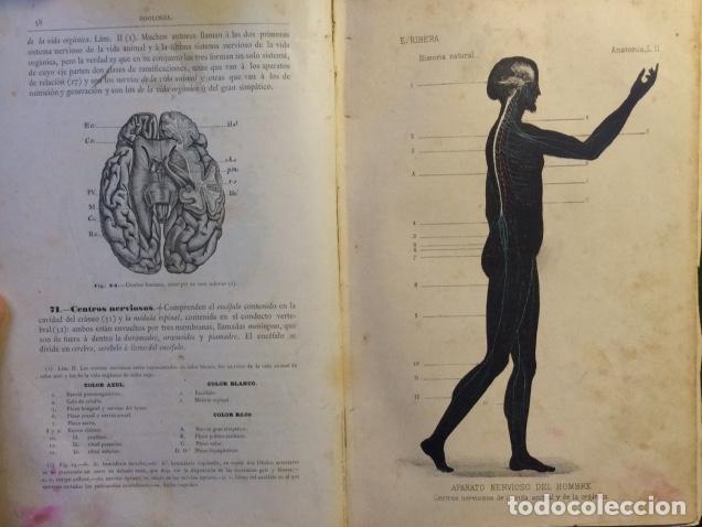 Libros: ELEMENTOS DE HISTORIA NATURAL - Ribera G&oacute;mez. Emilio - Foto 1