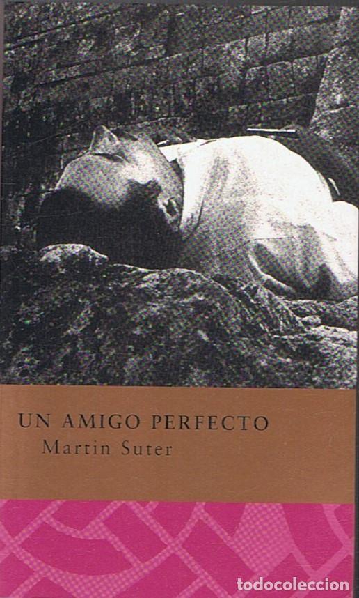 Libros: UN AMIGO PERFECTO - Suter. Mart&iacute;n - Foto 1