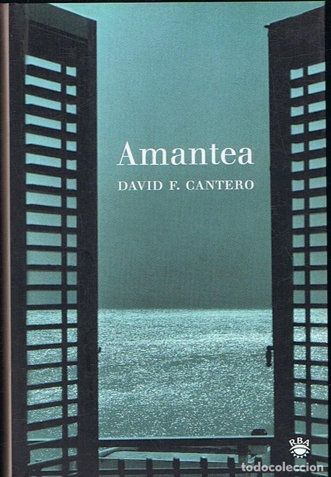 Libros: AMANTEA - Cantero. David F. - Foto 1