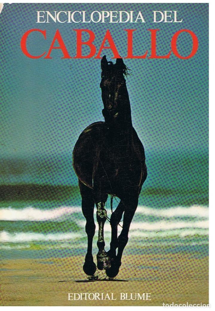 Libros: ENCICLOPEDIA DEL CABALLO - Hartley Edwards. Elwin - Foto 1