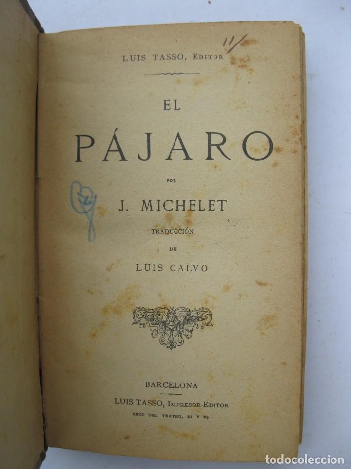 Libros: EL P&Aacute;JARO - J. MICHELET - LUIS TASSO, EDITOR. - Foto 2