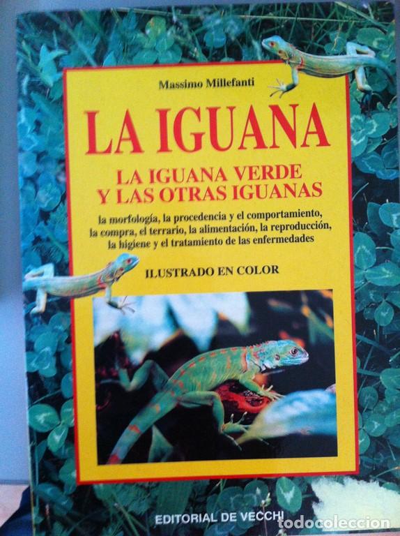 Libros: La Iguana. La iguana verde y las otras iguanas. - Foto 1