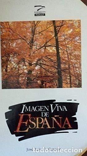 Libros: Imagen viva de Espa&ntilde;a - Foto 1