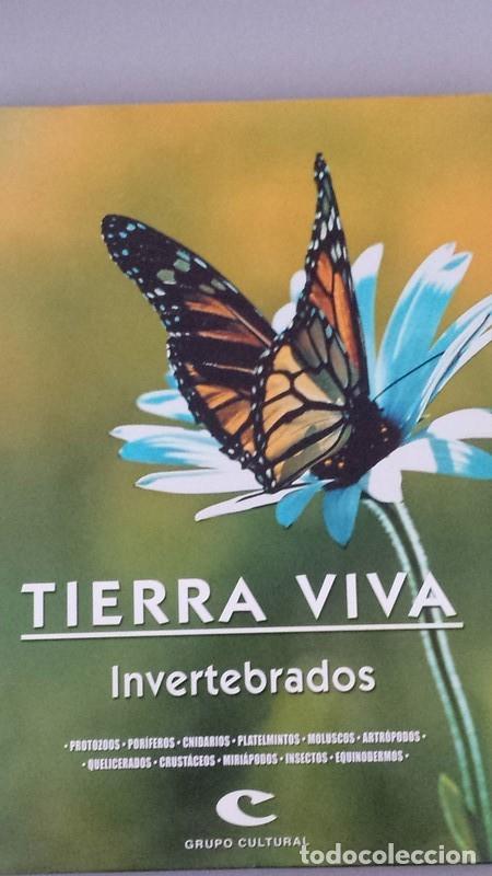 Libros: TIERRA VIVA. Invertebrados - Foto 1