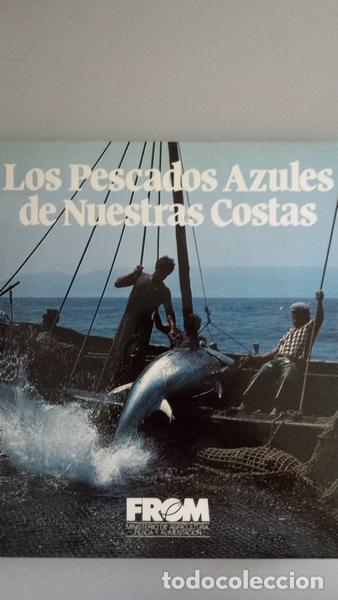 Libros: Los pescados azules de nuestras costas - VV. AA. Ana Lorente (coord.) - Foto 1