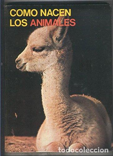 Libros: COMO NACEN LOS ANIMALES - Foto 1