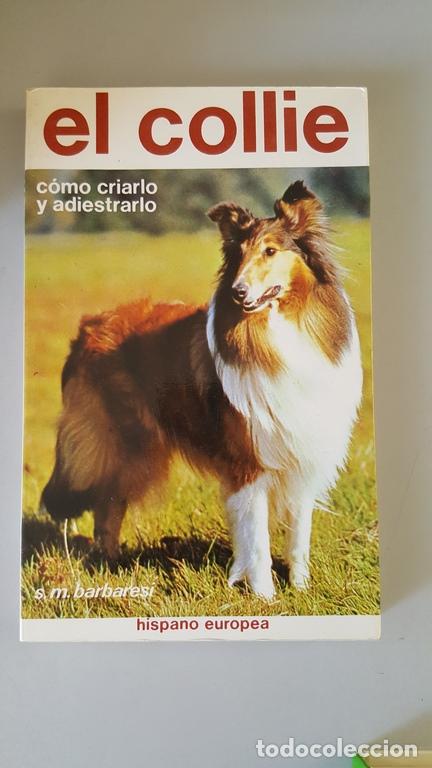 Libros: El COLLIE. C&oacute;mo criarlo y adiestrarlo - Foto 1