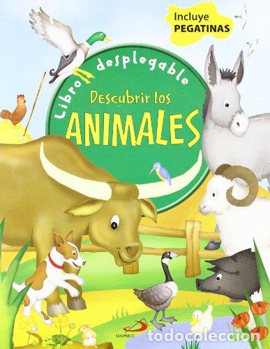 Libros: Descubrir Los Animales: Libro Desplegable - Robert Harvey - Foto 1