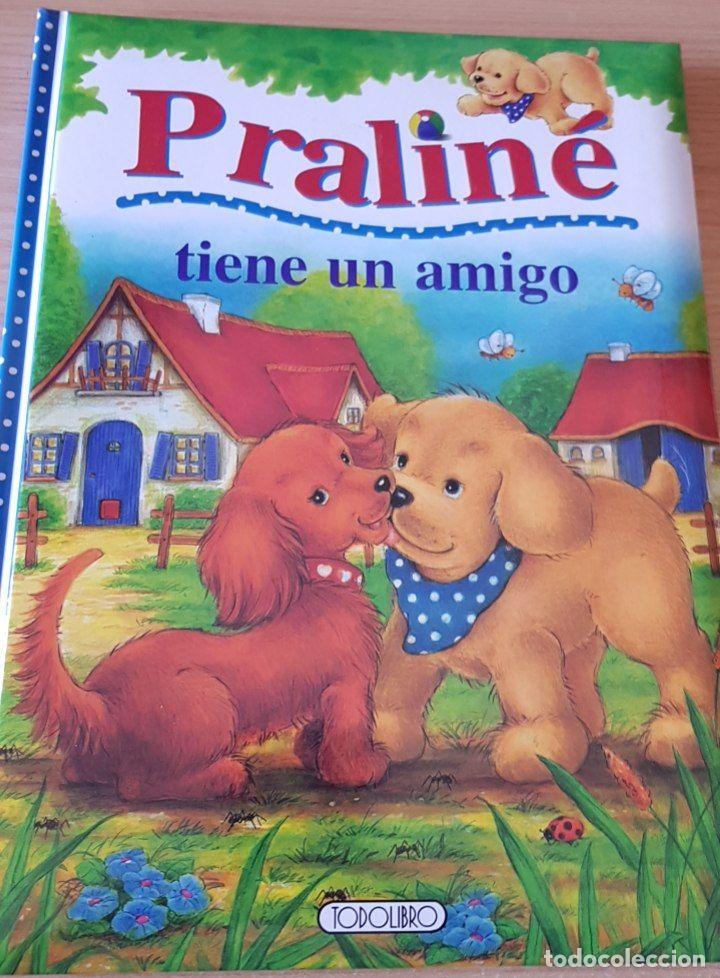 Libros: PRALINE TIENE UN AMIGO - Jean Mouthier - Foto 1