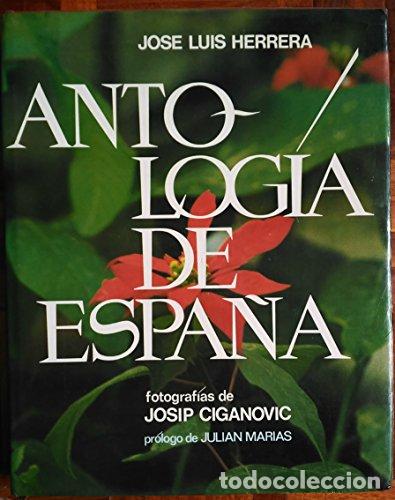 Libros: Antolog&iacute;a De Espa&ntilde;a - Jos&eacute; Luis Herrera - Foto 1