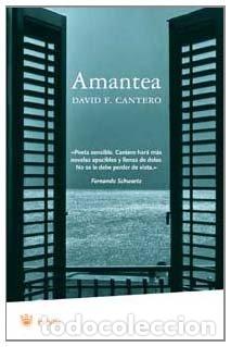 Libros: Amantea - David F. Cantero - Foto 1