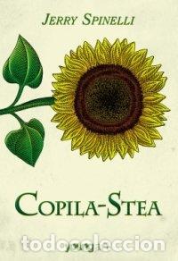 Libros: Copila-Stea (Romanian Edition) - Jerry Spinelli - Foto 1