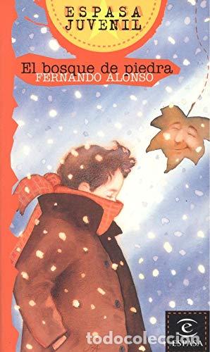 Libros: Bosque de Piedra - FERNANDO ALONSO - Foto 1