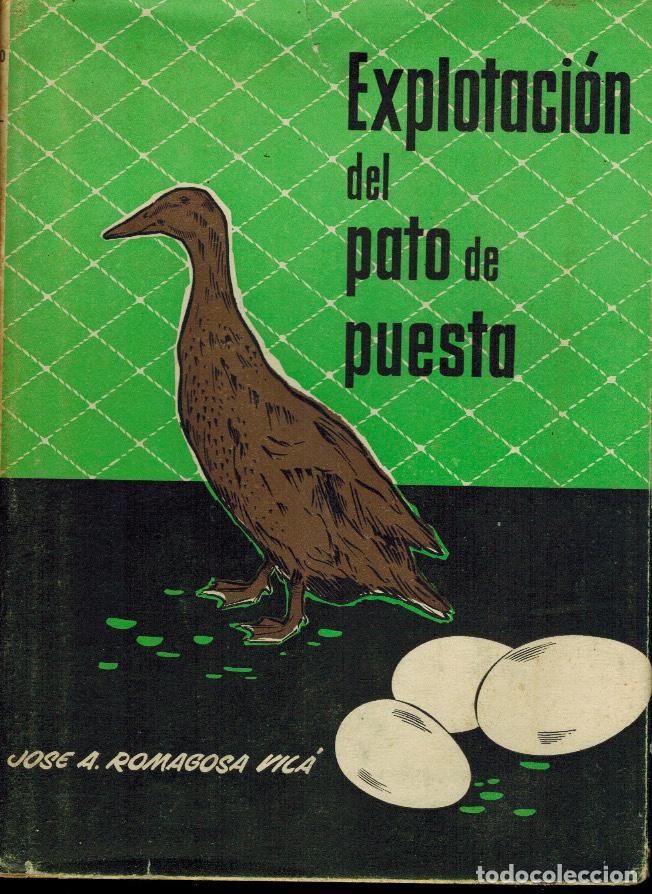 Libros: EXPLOTACI&Oacute;N DEL PATO DE PUESTA - Foto 1