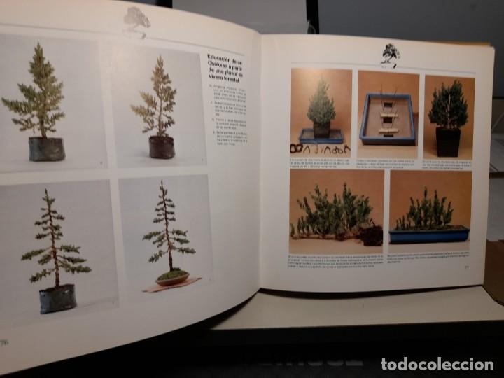 Libros: FANTASTICO LIBRO: BONSAI, ARBOLES EN MINIATURA - Foto 2