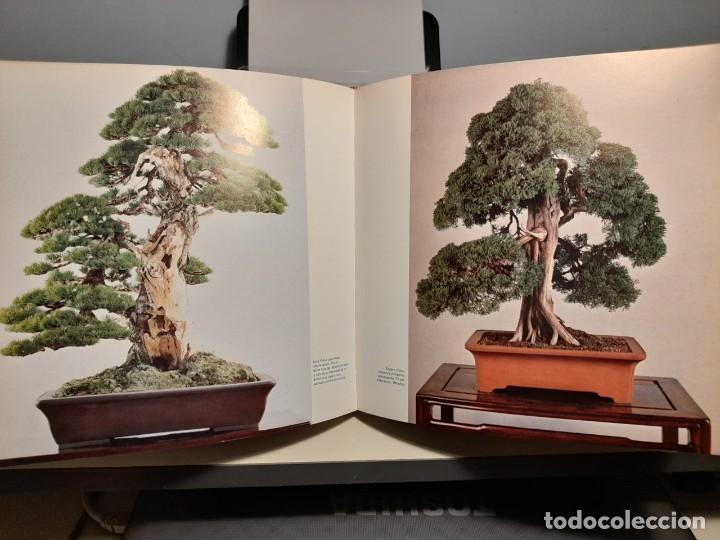 Libros: FANTASTICO LIBRO: BONSAI, ARBOLES EN MINIATURA - Foto 3